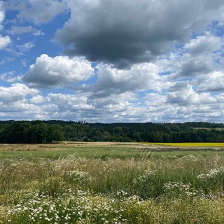 Prodej stavební parcely 1 350 m² Odrava