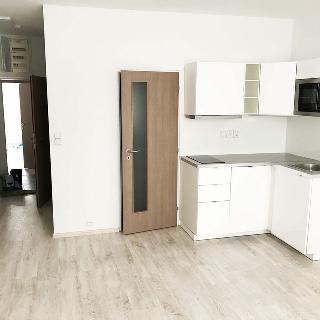 Pronájem bytu 1+kk a garsoniéry 24 m² České Budějovice, Hradební