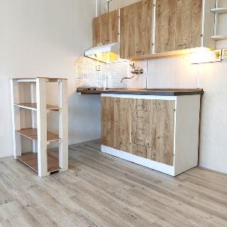 Pronájem bytu 1+kk a garsoniéry 25 m² Humpolec, Na Závodí