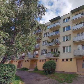 Pronájem bytu 2+1 59 m² České Budějovice, J. K. Chmelenského