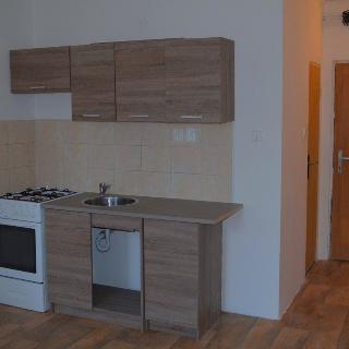 Pronájem bytu 1+1 36 m² Chomutov, Růžová