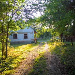 Prodej zemědělské usedlosti 264 m² Kovářov