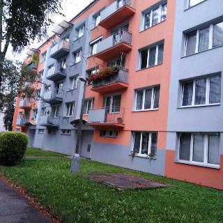 Pronájem bytu 1+kk a garsoniéry 22 m² České Budějovice, Plzeňská