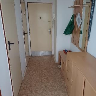 Pronájem bytu 3+1 65 m² Pardubice, Družstevní