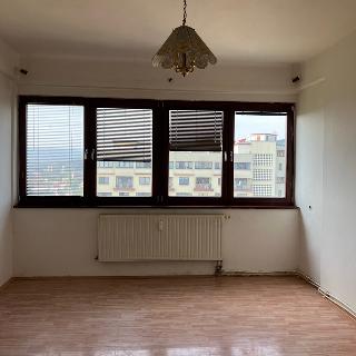 Pronájem bytu 1+kk a garsoniéry 27 m² Litvínov, Koldům