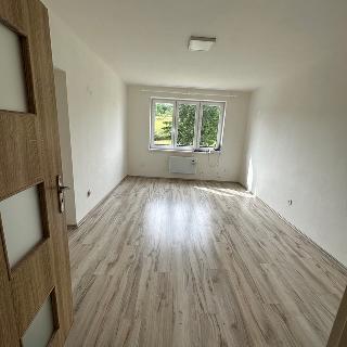 Pronájem bytu 2+1 53 m² Ktiš