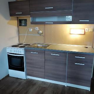 Pronájem bytu 1+kk a garsoniéry 30 m² Strakonice, Stavbařů