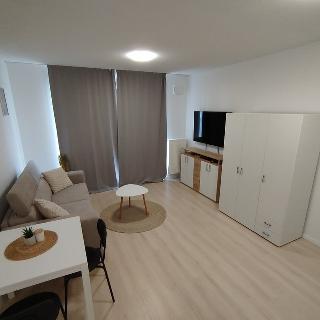 Pronájem bytu 1+1 47 m² Brno, Pekařská