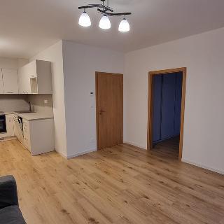 Pronájem bytu 2+kk 50 m² České Budějovice, Vrbenská