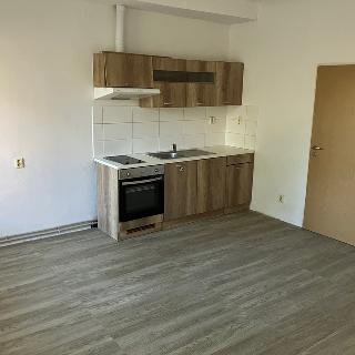 Pronájem bytu 2+kk 41 m² Cheb, Evropská