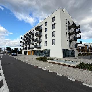 Pronájem bytu 1+kk a garsoniéry 38 m² České Budějovice, Vrbenská