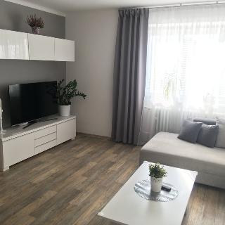 Pronájem bytu 2+1 58 m² České Budějovice, Mánesova