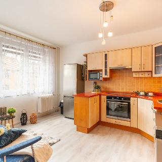 Pronájem bytu 1+1 42 m² Český Krumlov, Špičák