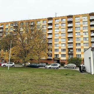 Prodej bytu 2+1 66 m² Jindřichův Hradec