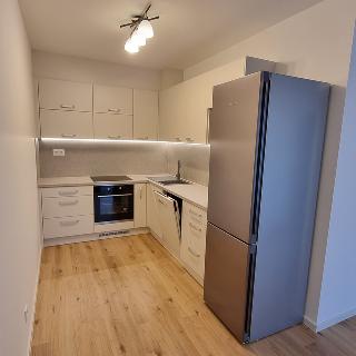 Pronájem bytu 2+kk 50 m² České Budějovice, Vrbenská