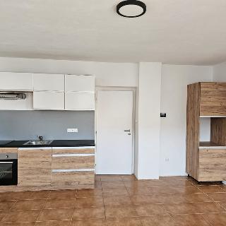 Pronájem bytu 1+kk a garsoniéry 31 m² Holice, Dukelská