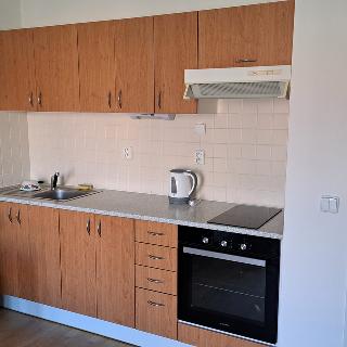 Pronájem bytu 1+kk a garsoniéry 30 m² Beroun, Pod Homolkou