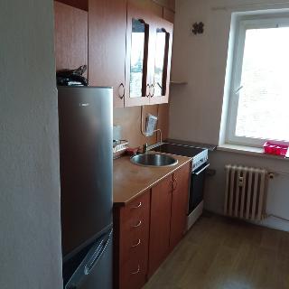 Pronájem bytu 1+1 40 m² Sokolov, Vítězná