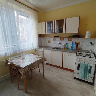 Pronájem bytu 1+1 40 m² Pardubice, Devotyho