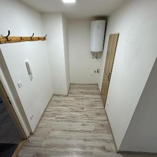 Pronájem bytu 1+1 36 m² Ktiš