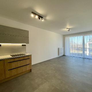 Pronájem bytu 2+kk 53 m² České Budějovice, U Branišovského lesa