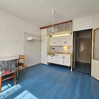 Prodej bytu 1+kk a garsoniéry 19 m² Ústí nad Labem, Větrná