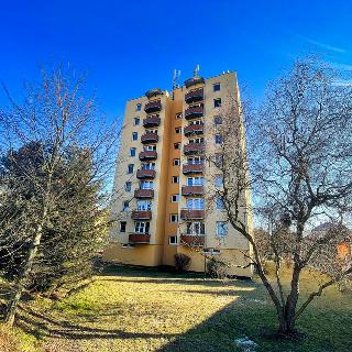 Prodej bytu 4+1 83 m² Třeboň, Táboritská