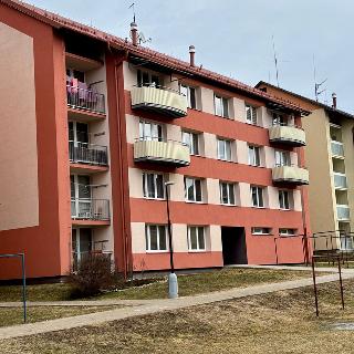 Prodej bytu 3+1 78 m² Horní Planá, Sídliště Míru