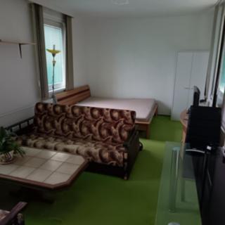 Pronájem pokoje 19 m² České Budějovice, V. Volfa