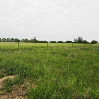 Prodej stavební parcely 1 297 m² Mikulovice