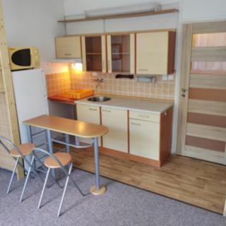 Pronájem bytu 1+kk a garsoniéry 21 m² České Budějovice 3, U Trojice