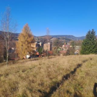 Prodej stavební parcely 1 290 m² Tanvald Šumburk nad Desnou