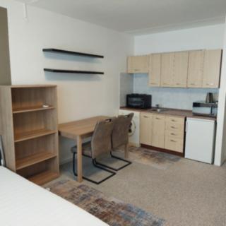 Pronájem bytu 1+kk, garsoniery 26 m² České Budějovice