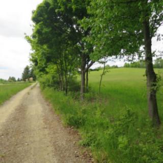 Prodej louky 3 465 m² Jistebnice Božejovice