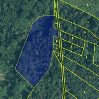 Prodej lesa 10 603 m² Rabí Čepice