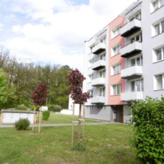 Pronájem bytu 1+1 45 m² Zliv