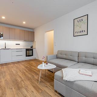 Prodej bytu 2+kk 39 m&sup2; České Budějovice