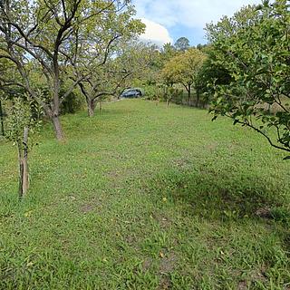 Prodej zahrady 510 m&sup2; Mikulov