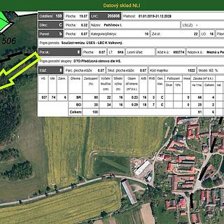 Prodej lesa 677 m&sup2; Mezná