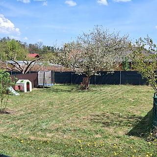 Pronájem zahrady 208 m&sup2; Rokycany