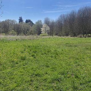 Prodej stavební parcely 3073 m&sup2; Horní Planá