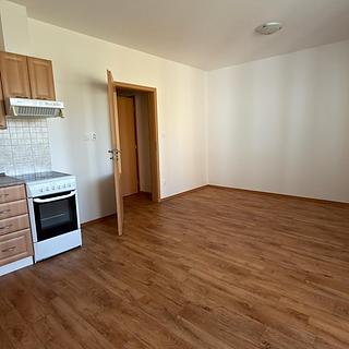 Pronájem bytu 1+kk, garsoniery 28 m&sup2; Jindřichův Hradec