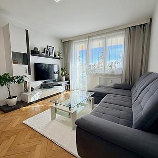 Prodej bytu 3+1 72 m&sup2; České Budějovice