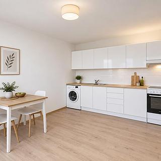 Pronájem bytu 1+1 48 m&sup2; Větřní