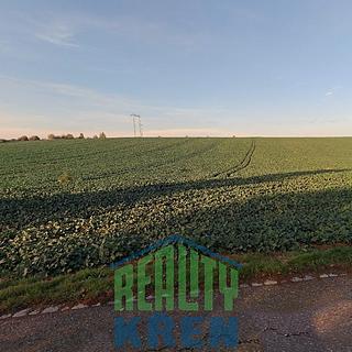 Prodej zemědělské půdy 132775 m&sup2; Plaňany