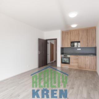 Pronájem bytu 1+kk, garsoniery 34 m² Roztoky