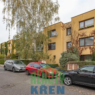 Pronájem bytu 3+1 80 m² Roztoky