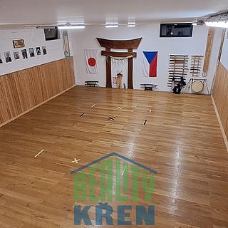 Pronájem ostatního 120 m&sup2; Praha