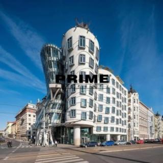 Pronájem kanceláře 30 m&sup2; Praha