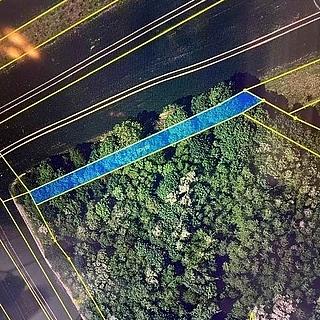 Prodej lesa 910 m&sup2; Březolupy